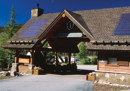 Custom Log Pavilion